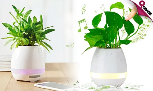 Silva Music Flower Pot!